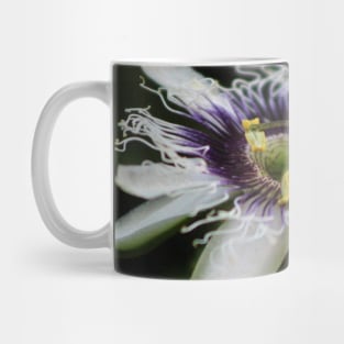 Passion Flower Closeup 3 Mug